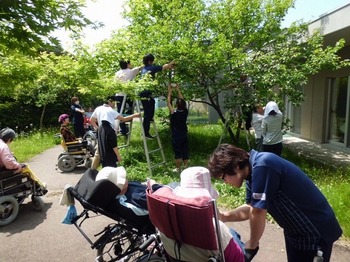 j2014.6.6 2.jpg